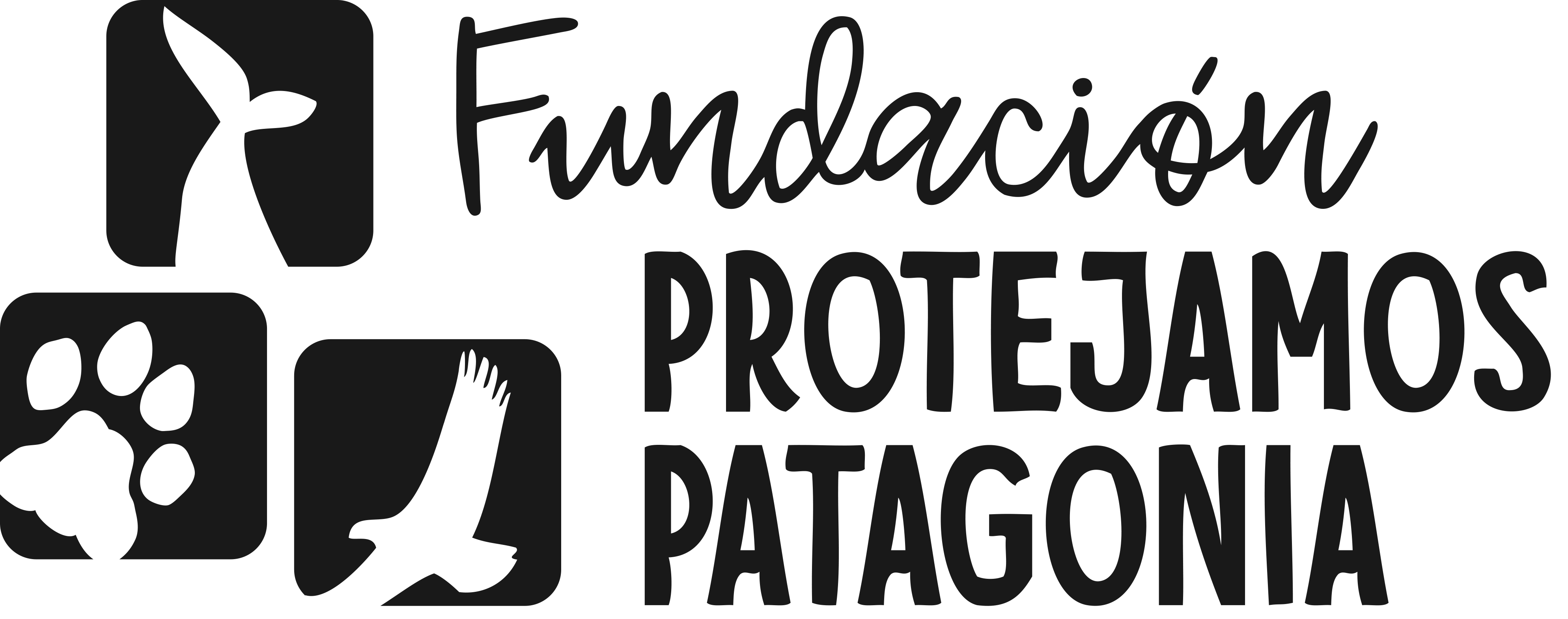 Fundación Protejamos Patagonia