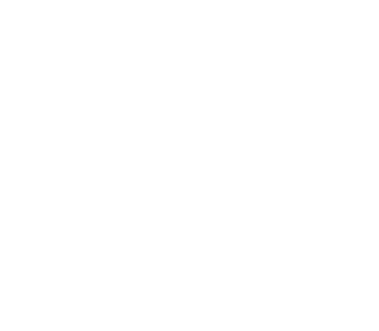 Bottazzi Whale Watch, Patagonia Argentina