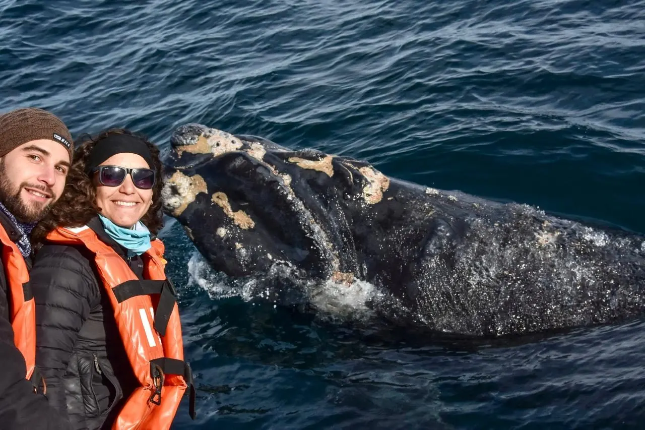 Avistaje de ballenas en Puerto Pirámides