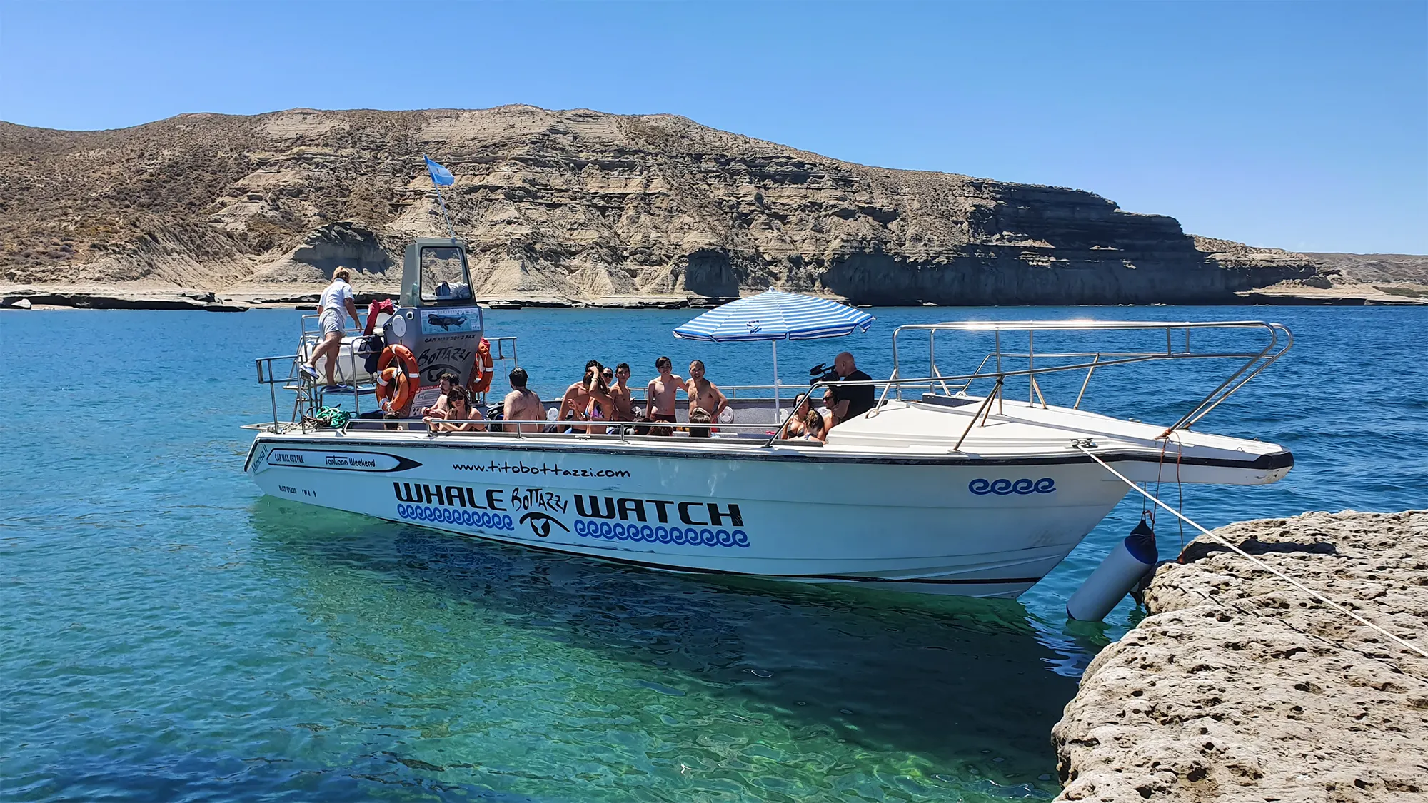 Avistaje de Delfines