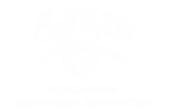 Bottazzi Avistajes